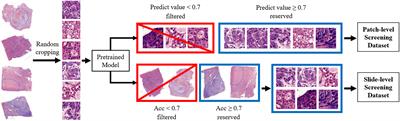 Development of a Deep Learning Model to Assist With Diagnosis of Hepatocellular Carcinoma